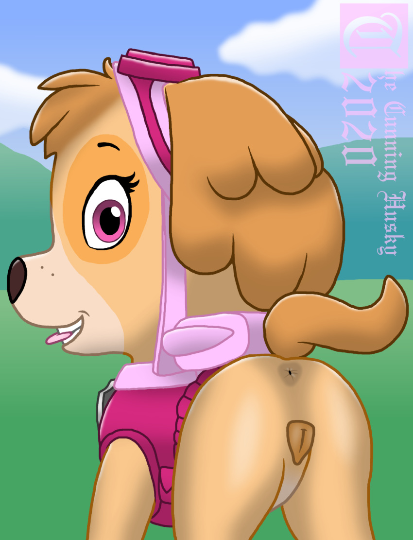 anus canid canine canis domestic_dog female feral genitals hi_res mammal paw_patrol pussy skye_(paw_patrol) solo unknown_artist