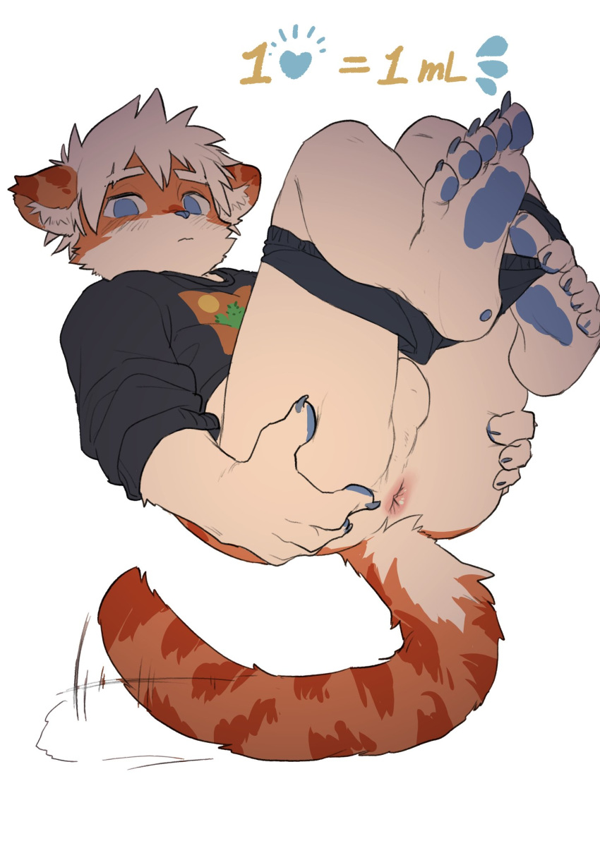 anthro anus ass balls black_clothing black_hoodie black_topwear blue_eyes blue_nose clothed clothing domestic_cat ear_tuft felid feline felis fur genitals hair hi_res hkl hkl9917462 hoodie inner_ear_fluff kemono male male_only mammal orange_body orange_fur orange_tail partially_clothed presenting presenting_anus presenting_hindquarters red_body red_fur shy solo spread_butt spreading tan_balls tan_body tan_fur tan_hair topwear tuft underwear