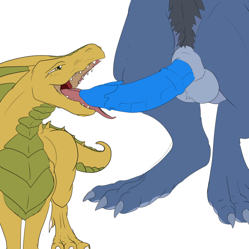 1:1 araphre araphre_(artist) balls blue_body blue_penis claws dragon duo feral fur genitals half-closed_eyes licking male male/male narrowed_eyes open_mouth oral penis pubes ramel_(monsterfuzz) simple_background size_difference sketch teeth tongue tongue_out white_background yellow_body