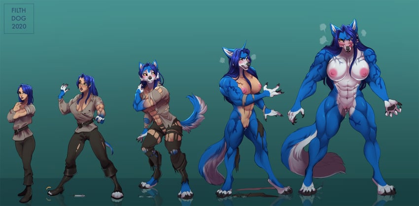 2020 4_toes anthro ass big_muscles blue_body blue_fur blue_hair blush bodily_fluids breasts canid canine canis claws clothing digital_media_(artwork) digitigrade female filthdog front_view fur furrification genital_fluids genitals growth hair hi_res hopey human human_to_anthro looking_at_viewer mammal muscle_growth muscular muscular_female nipples nude pawpads paws pussy pussy_juice sequence simple_background solo species_transformation sweat toes torn_clothing transformation vein white_body white_fur wolf