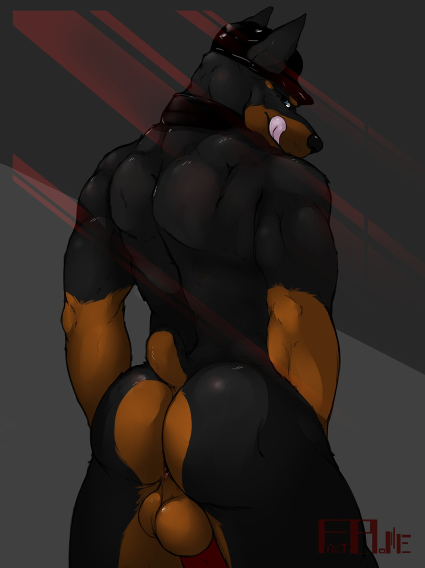 1boy 2018 animal_ears anthro anthrofied anus ass balls big_ass big_butt black_fur black_nose blue_eyes brown_fur bubble_ass bubble_butt butt canid canine canis cap completely_nude dat_ass doberman dobermann domestic_dog duke_doberman frostbone genitals hat headwear hi_res huge_ass huge_butt humanoid_genitalia humanoid_penis leather looking_at_viewer looking_back male male_only mammal massive_ass multicolored_fur multicolored_tail muscular muscular_male nude penis pinscher plump_ass round_ass round_butt solo tail testicles thick_thighs tongue tongue_out twitter two_tone_fur two_tone_tail wide_hips