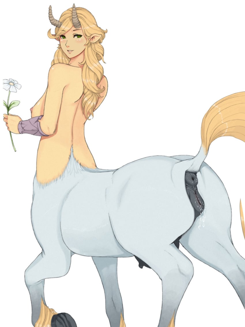 animal_genitalia_on_humanoid centaur centauress equid_taur etheross female flower furry horns horny horse horse_anus_on_humanoid horse_girl horse_pussy horse_pussy_on_humanoid looking_at_viewer mammal sweet taur wet wet_pussy white_background