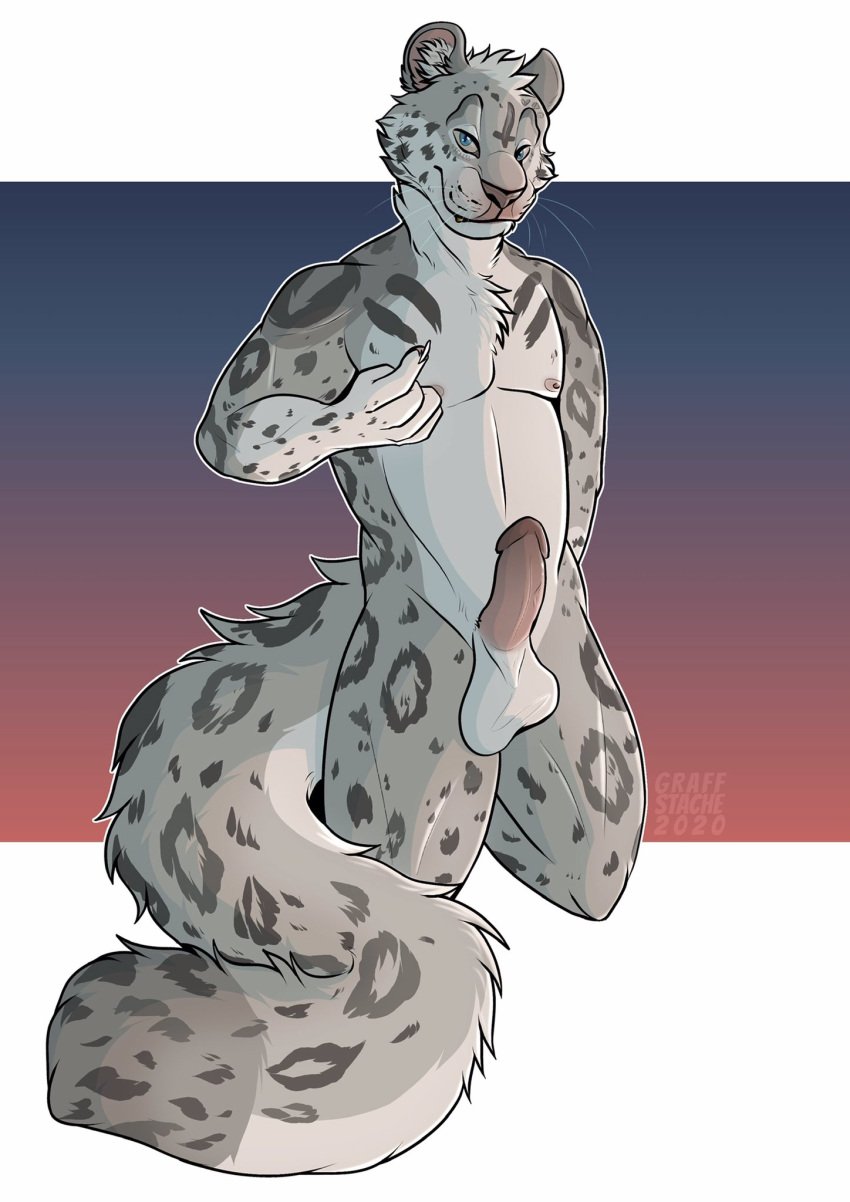 2020 anthro balls countershading felid fur genitals gesture graffstache grey_body grey_fur hi_res kneeling looking_at_viewer male male_only mammal nude pantherine penis pinup pointing pointing_at_self pose simple_background snow_leopard solo spots whiskers white_countershading