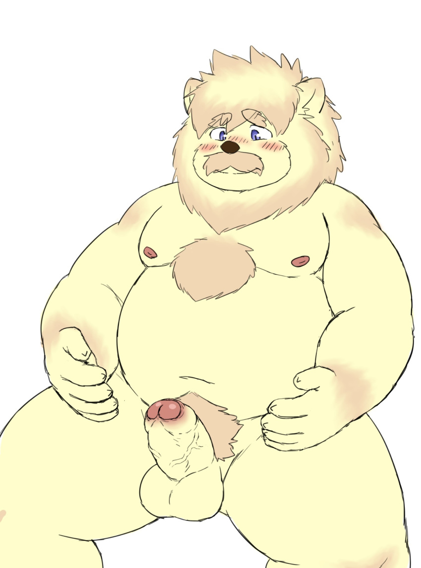 2020 anthro balls bara belly blush felid fur genitals hi_res kemono lion male male_only mammal moobs navel nipples overweight overweight_male pantherine penis reddo12340 simple_background sitting solo white_background white_body white_fur