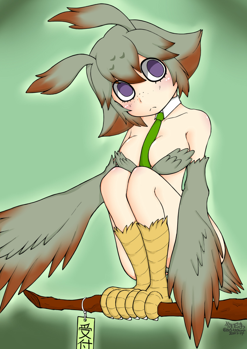 animal_humanoid artist_request avian avian_humanoid female furry harpy ishuzoku_reviewers looking_at_viewer mimilo_(ishuzoku_reviewers) monster_girl