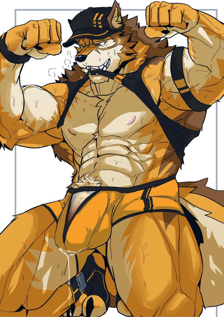 1boy abs absurd_res anthro asiahao520 barrel_(live_a_hero) biceps bodily_fluids canid canine canis clothing flaccid flexing genitals hat headgear headwear hi_res live-a-hero male male_only mammal muscular muscular_anthro muscular_male nipples orange_underwear pecs penis shirt solo sweat tank_top topwear underwear wolf