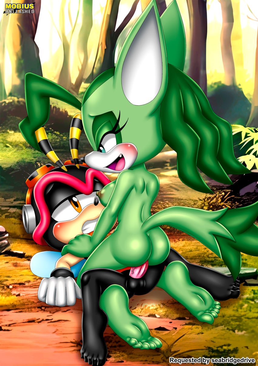 Charmy Bee (Sega) Rule 34 Image