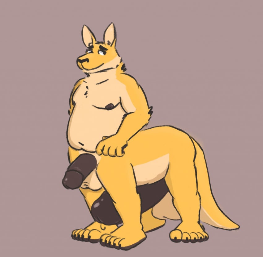 1boy 2020 4_legs anthro aoba_(artist) balls barefoot black_claws black_nipples black_nose black_penis borges boytaurs claws diphallia diphallism erection flaccid frontal_taur_balls frontal_taur_genitals frontal_taur_penis fur genitals half-erect hi_res humanoid_genitalia humanoid_penis hyper kangaroo looking_aside looking_away macropod male male_focus male_only mammal marsupial multi_balls multi_genitalia multi_penis nipples nude penis simple_background slightly_chubby snout solo solo_focus solo_male standing taur yellow_body yellow_fur