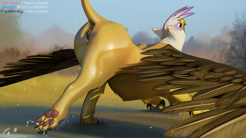 16:9 2020 4_toes anus ass avian beak closed_eyes conditional_dnp digital_media_(artwork) feathered_wings feathers female feral friendship_is_magic furry genitals gilda_(mlp) gryphon hi_res mercurial64 my_little_pony mythological_avian mythology outside paws pussy solo spread_wings text toes url water widescreen wings