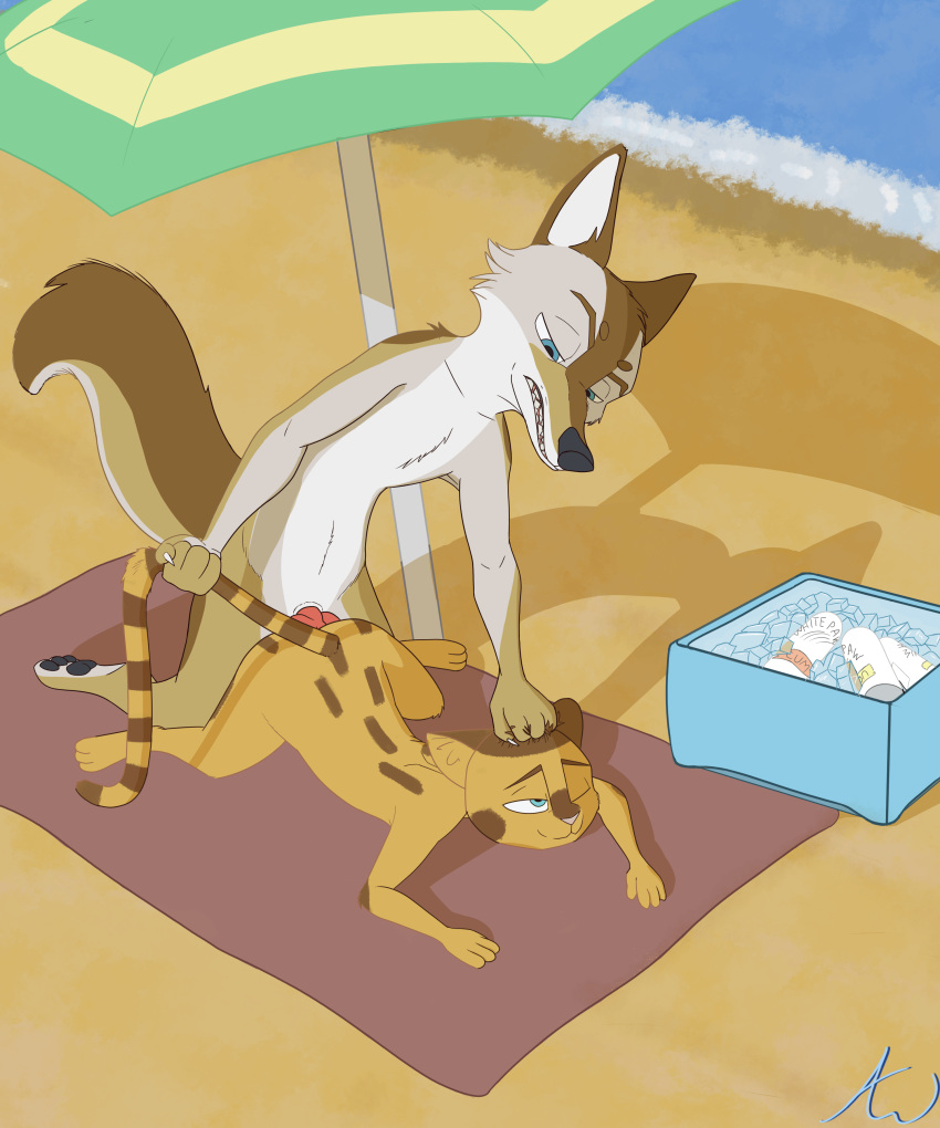 absurd_res all_fours ambiguous_gender ambiguous_penetrated anal anal_sex animal_genitalia animal_penis animated anthro anthro_on_anthro anthro_penetrated anthro_penetrating anthro_penetrating_anthro appleseed_(artist) banded_linsang beach canid canine canine_penis canis cheek_tuft coyote doggy_style duo facial_tuft from_behind_position fur genitals grabbing hi_res knot linsang looking_pleasured male male/ambiguous male_penetrating male_penetrating_ambiguous mammal moses_(samur_shalem) multicolored_tail multitoned_fur penetration penile penile_penetration penis sand seaside sex short_playtime size_difference spots spotted_body tail_grab tan_body tan_fur text tuft ty_(appleseed) umbrella viverrid