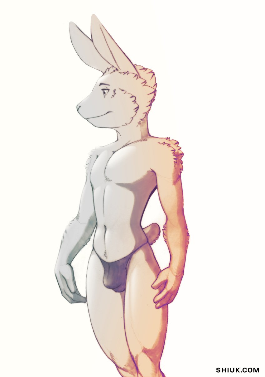 2020 absurd_res anthro bulge clothed clothing fur hi_res lagomorph leporid male male_only mammal monotone_ears navel rabbit shiuk skimpy solo text thong topless underwear url