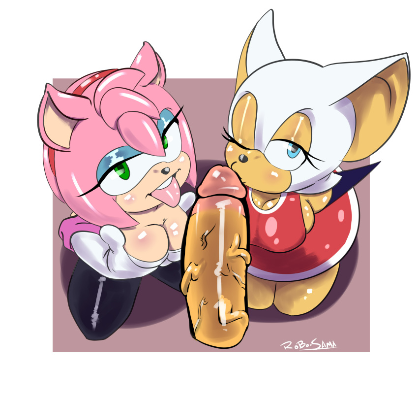 Amy Rose (Cosplay) Rule 34 Image