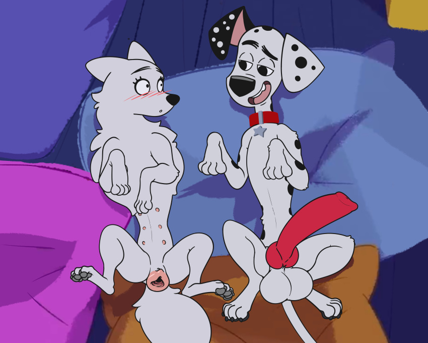 101_dalmatian_street 101_dalmatians 5:4 absurd_res animal_genitalia animal_penis animal_pussy balls big_penis blanca_(nicky_illust) canid canine canine_penis canine_pussy canis collar dalmatian disney dogina domestic_dog duo dylan_(101_dalmatians) female feral gaping gaping_pussy genitals hi_res huge_cock hypergal knot male mammal multi_nipple nipples penis pussy straight