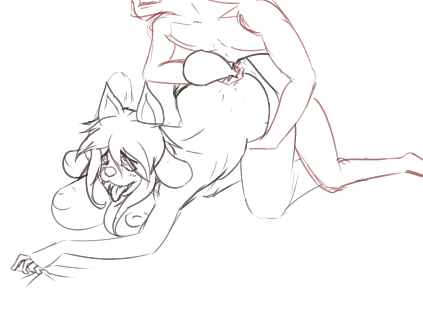 Temmie (Undertale) Rule 34 Image