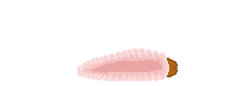 Evan (Disambiguation) Rule 34 Image