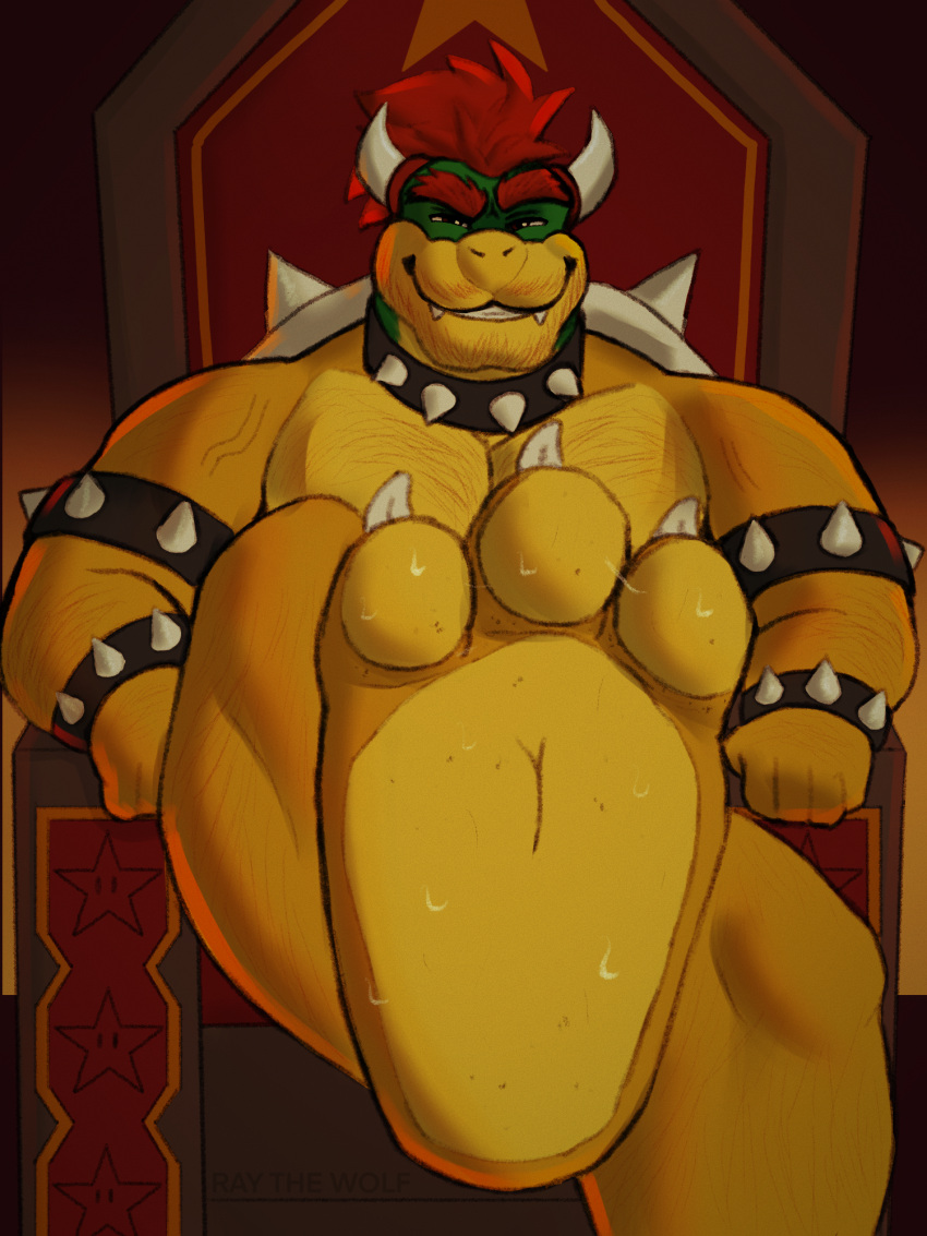 Bowser (Mario Bros) Rule 34 Image