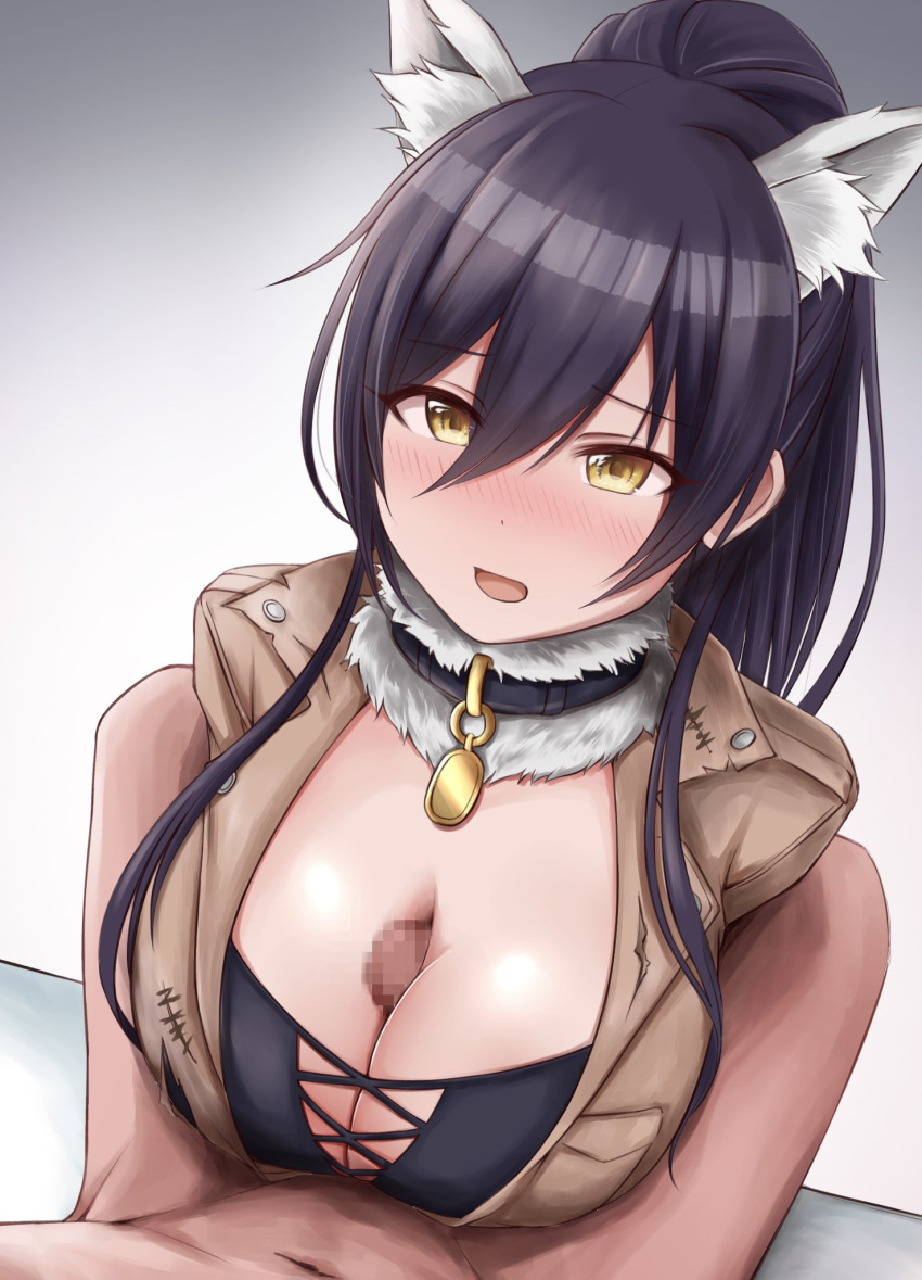 1boy animal_ears bangs beige_jacket bikini black_bikini black_hair blush breast_squeeze breasts cleavage female fur_collar hair_between_eyes high_ponytail highres idolmaster idolmaster_shiny_colors kata2yama large_breasts long_hair looking_at_viewer open_mouth paizuri penis ponytail shirase_sakuya straight swimsuit wolf_ears yellow_eyes