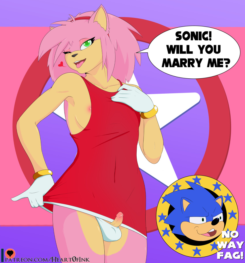 2boys amy_rose anthro english_text eulipotyphlan f-slur faggot femboy genderswap_(ftm) genitals heart0fink_(artist) hedgehog hi_res male male_only mammal meme nipples penis rule_63 slur small_penis sonic_(series) sonic_the_hedgehog sonic_the_hedgehog_(series) speech_bubble text