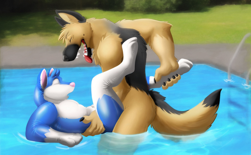 2012 anal anal_sex anthro canine closed_eyes dragoneer fur furry german_shepherd gsd husky inflatable kiyo male male_only penetration pool pool_toy squeeze tongue water