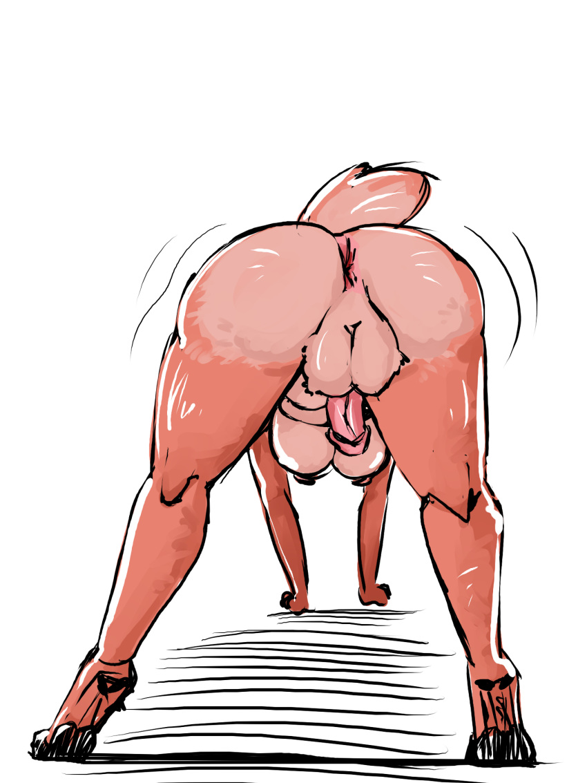 1futa 3:4 antelope anthro anus ass balls big_butt bovid breasts cervid full_body fur futanari gazelle genitals gynomorph hair hi_res horn humanoid intersex kvi5v mammal nipples nu_pogodi penis pink_hair rear_view red_body red_fur roe simple_background solo ulya uncensored white_background yoga_pants