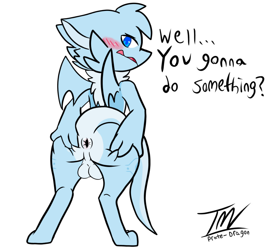 2020 absurd_res alpha_channel annoyed anthro anus ass backsack balls blue_body blue_eyes blush dialogue english_text fur furry genitals hi_res leo_(prate) male male_only neck_tuft nude prate raised_tail rear_view signature simple_background solo solo_male spread_anus spread_butt spreading standing text transparent_background tuft wings