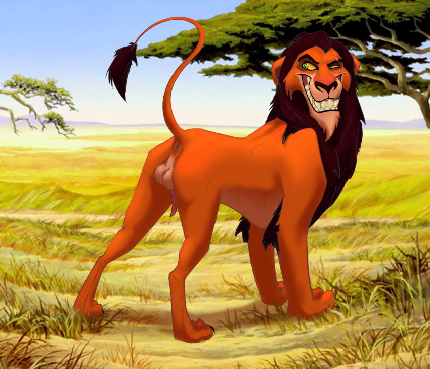 animal_genitalia animal_penis anus backsack balls disney falseseke felid feral genitals grin hi_res lion male male_only mammal pantherine penile_spines penis pose presenting presenting_hindquarters savanna scar_(the_lion_king) smile solo teasing the_lion_king