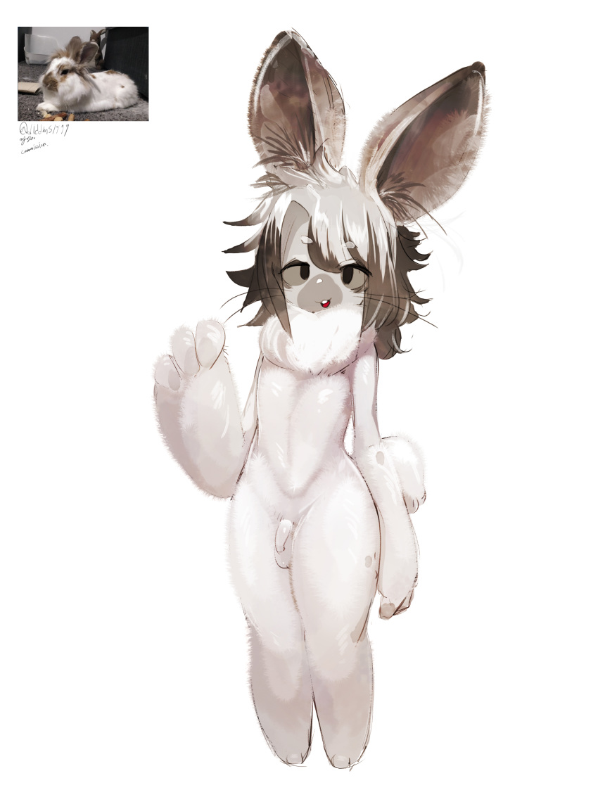 3:4 Rule 34 Image