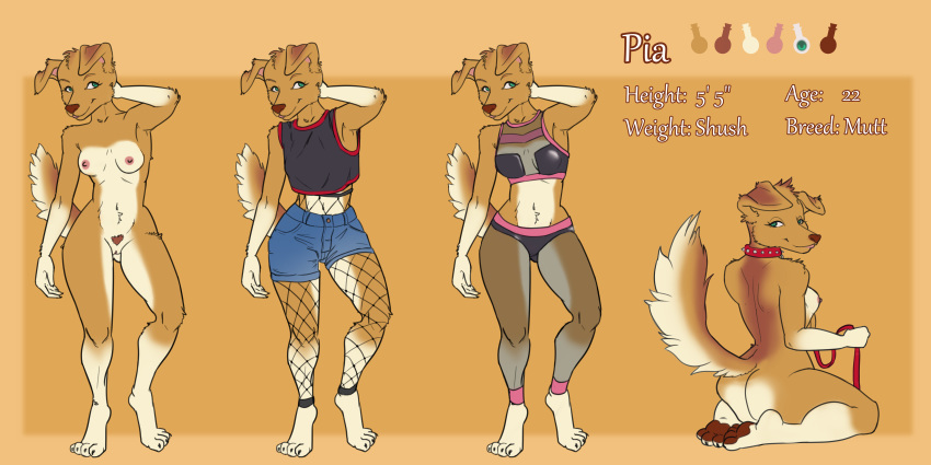 2:1 4_toes absurd_res athletic canid canine canis domestic_dog female genitals hi_res mammal model_sheet paws pia_(utouchmyweird) pussy solo standing toes utouchmyweird