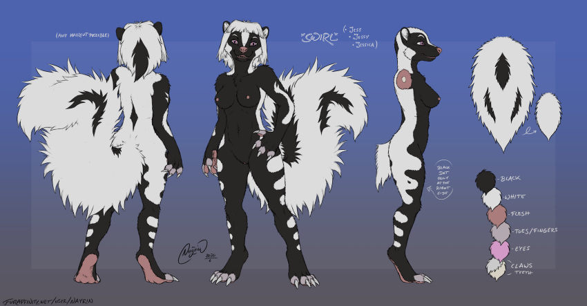 absurd_res anthro english_text female hi_res mammal mephitid model_sheet nayrin skunk solo spotted_skunk swirl text