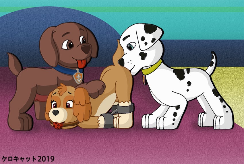 animal_ears animal_genitalia animal_nose animal_penis animal_tail anthro black_hair black_nose brown_hair marshall_(paw_patrol) paw_patrol pussy_lick skye_(paw_patrol) white_hair zuma_(paw_patrol)