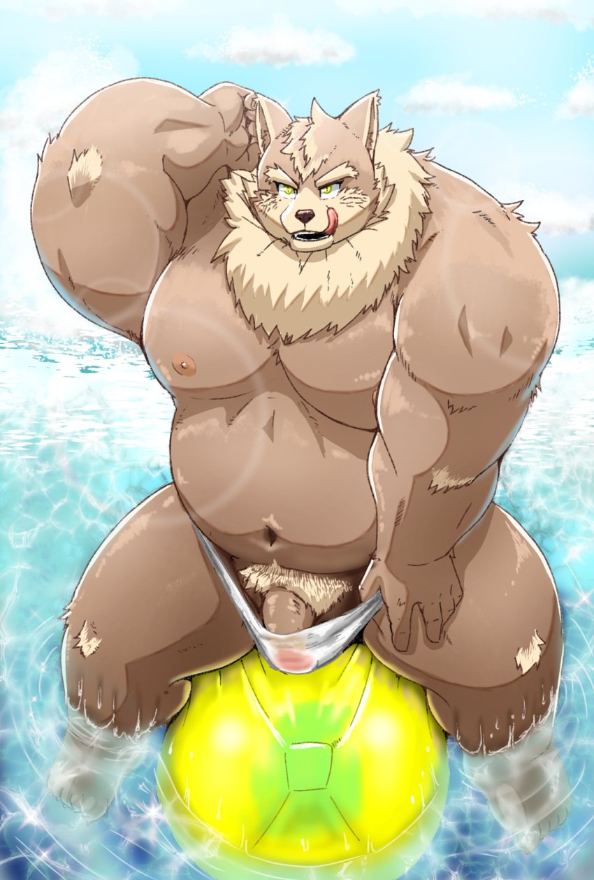 2020 anthro belly bulge clothing genitals hi_res humanoid_genitalia humanoid_hands humanoid_penis kemono kiyo male male_only mammal moobs navel nipples outside overweight overweight_male penis pubes sitting solo swimwear tongue tongue_out water