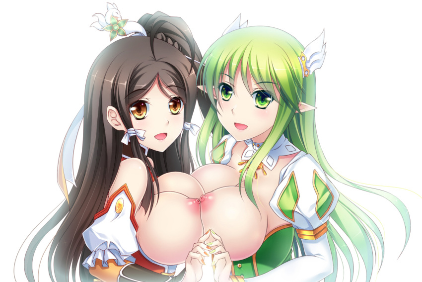 2girls ara_haan black_hair breast_press breasts brown_eyes cleavage detached_collar elf elsword gloves green_eyes green_hair hair_ornament hairpin juliet_sleeves large_breasts long_hair long_sleeves multiple_girls nipples pointy_ears puffy_nipples puffy_sleeves rena_(elsword) side_ponytail smile take_your_pick topless tsukimi_kirara white_background yuri