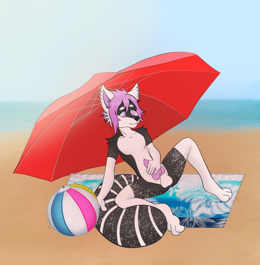 1boy ailurid animal_genitalia anthro ball beach beach_ball beach_towel beach_umbrella canid canine doomcat exhibitionism foshi(foxita) fox fur genitals girly grey_body grey_fur hair hi_res male male_only mammal masturbation penis pink_eyes pink_hair pink_penis red_panda seaside solo spread_legs spreading summer white_body white_fur