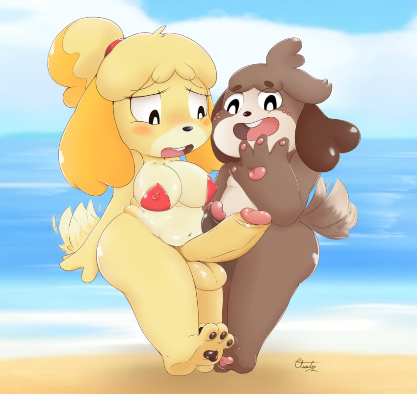 animal_crossing anthro balls beach big_penis bikini blush bottomless breasts brother brother_and_sister brown_body brown_fur canid canine canis clothed clothing digby_(animal_crossing) domestic_dog duo erection ftg_crossgender fti_crossgender fur futa_is_bigger futanari genitals gynomorph hair intersex isabelle_(animal_crossing) male mammal nintendo nude open_mouth opposite_sex_twins penis rule_63 seaside shih_tzu sibling sister sister_is_bigger surprise swimwear thaasteo toy_dog video_games yellow_body yellow_fur