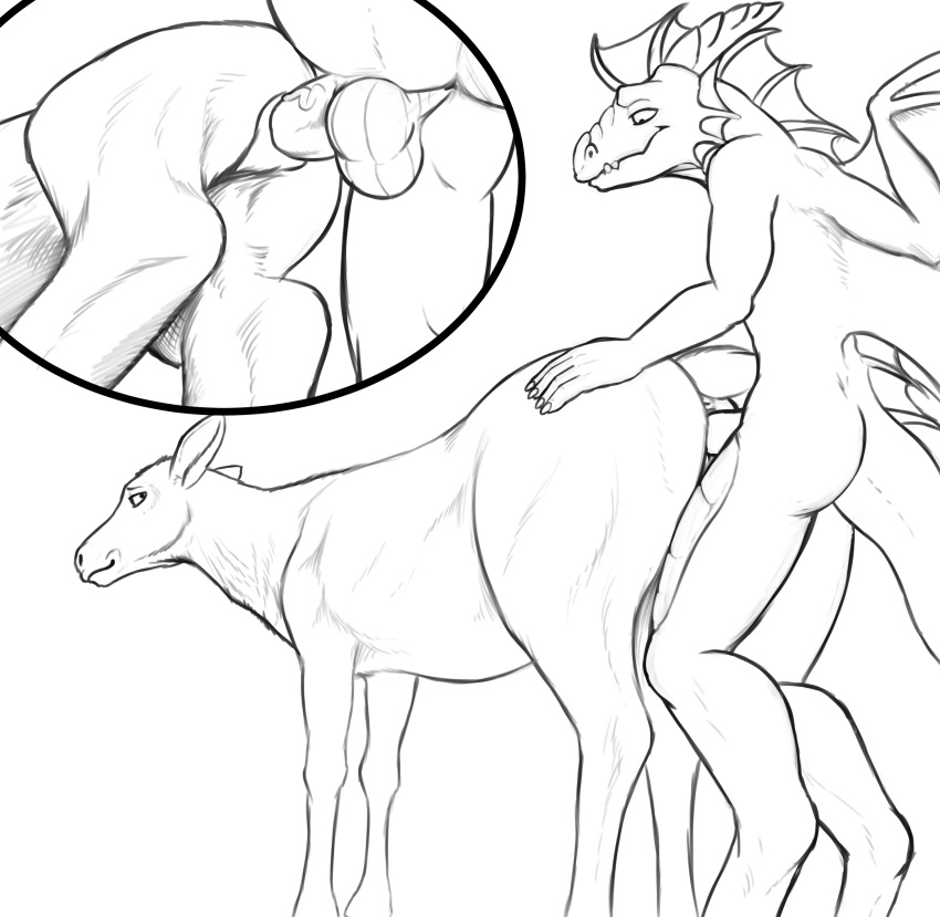 2020 5_fingers absurd_res anthro anthro_on_feral anthro_penetrating anthro_penetrating_feral anus balls cervid cervine cutaway dragon duo elk erection female female_penetrated feral feral_penetrated fingers genitals greyscale hand_on_butt hi_res horn line_art lizardlars looking_back low-angle_view macharius male male_on_feral male_penetrating male_penetrating_female mammal monochrome nude penetration penile_penetration penis quadruped scalie sex side_view simple_background standing straight vaginal_penetration vein veiny_penis white_background wings zoophilia