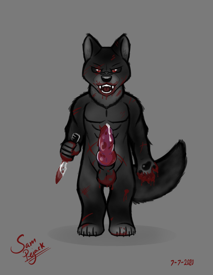 absurd_res animal_genitalia animal_penis anthro balls black_body black_fur blood blood_on_face blood_on_hand blood_on_mouth blood_on_penis blood_on_weapon bloody_wolf bodily_fluids canid canine canine_penis canis dagger erection fangs fur genital_fluids genitals grey_background hi_res knife knot male male_only mammal melee_weapon nude penis precum red_eyes red_penis samuel_pejack scar simple_background solo weapon wolf