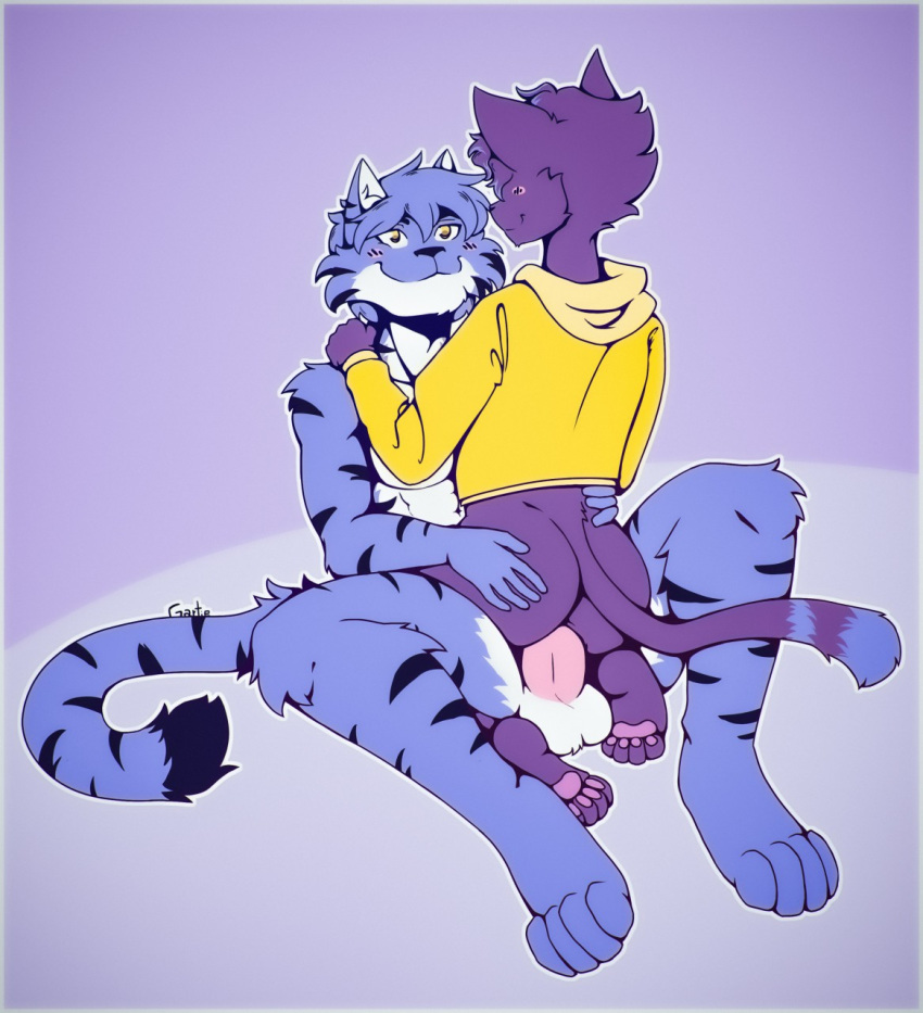 anal anthro ass balls blue_body blue_fur clothing domestic_cat duo felid feline felis fur gart gartie genitals hi_res male male/male mammal pantherine pawpads paws penis purple_body purple_fur stripes tiger topwear