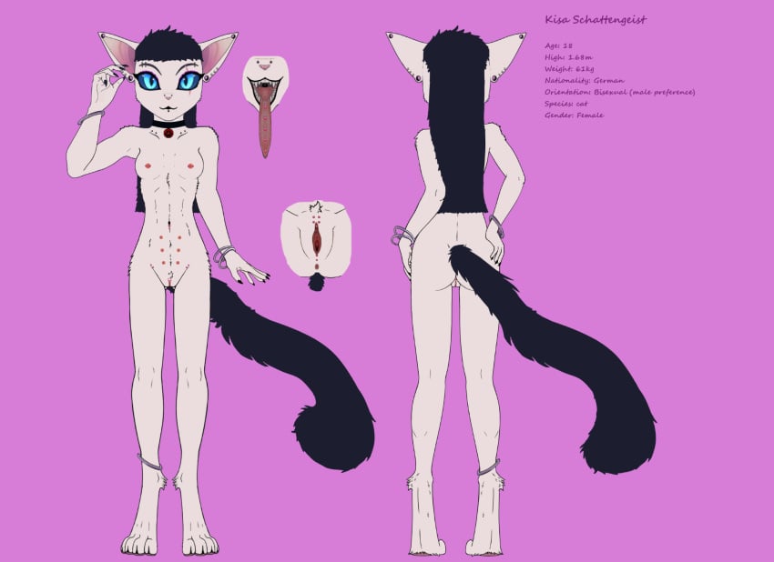 anthro domestic_cat donshadowwolf english_text felid feline felis female genital_piercing genitals hi_res mammal piercing pussy solo text tongue tongue_piercing