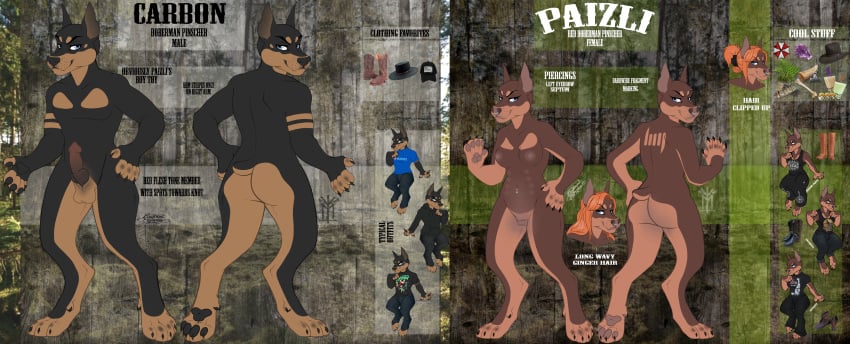 absurd_res anthro canid canine canis carbon dobermann dobie domestic_dog duo english_text female hi_res male mammal mates model_sheet paizli pinscher text thehuntingwolf