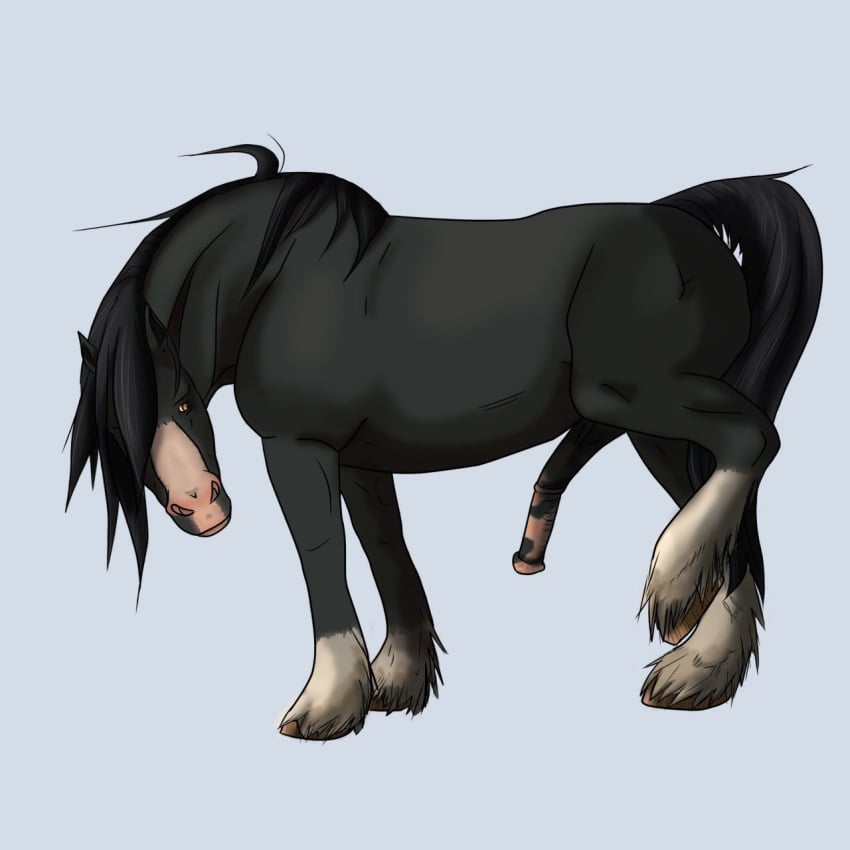 1:1 animal_genitalia draft_horse equid equine erection feral genitals hi_res horse male male_only mammal penis shire solo zeldog