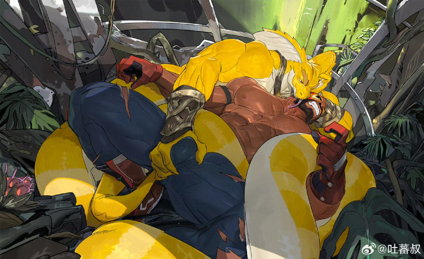 Weibo Rule 34 Image