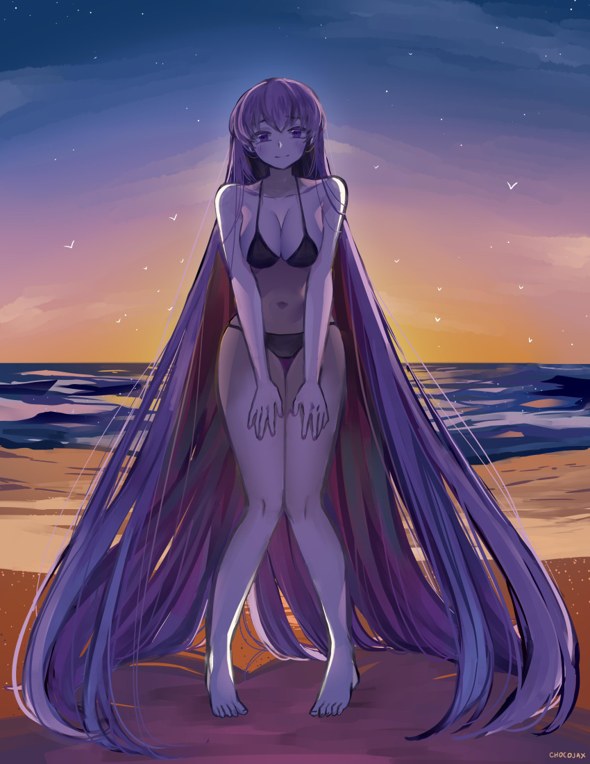 1girls alternate_breast_size bare_legs bare_shoulders barefoot beach big_breasts bikini black_bikini black_swimsuit blush breasts chocojax female fire_emblem fire_emblem:_the_binding_blade large_breasts long_hair long_legs manakete nintendo purple_eyes purple_hair seaside smile solo solo_female sophia_(fire_emblem) sunset swimsuit tall taller_girl thighs very_long_hair