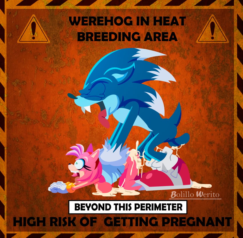 Sonic (Series) Rule 34 Image