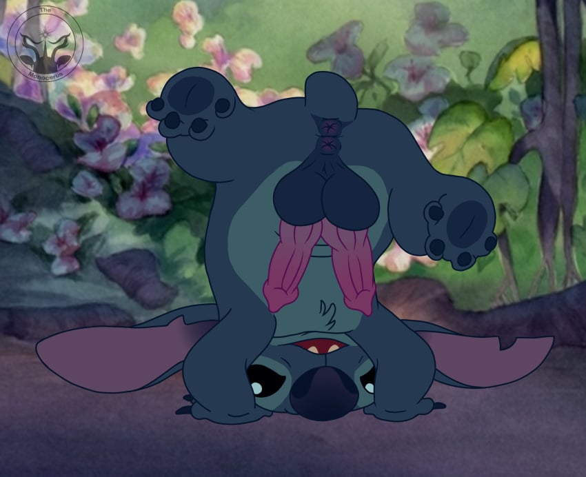 2_anuses 4_toes alien anus ass balls big_ears big_nose black_eyes blue_anus blue_balls blue_body blue_claws blue_fur blue_nose blue_pawpads claws diphallia diphallism disney edit experiment_(lilo_and_stitch) feral fur genitals handstand hi_res lilo_and_stitch looking_at_viewer male male_only male_presenting monocerus multi_anus multi_genitalia multi_penis notched_ear outside pawpads paws penis pink_penis presenting presenting_anus presenting_hindquarters presenting_penis screencap screencap_background short_tail solo stitch stubby_tail toes upside-down watermark