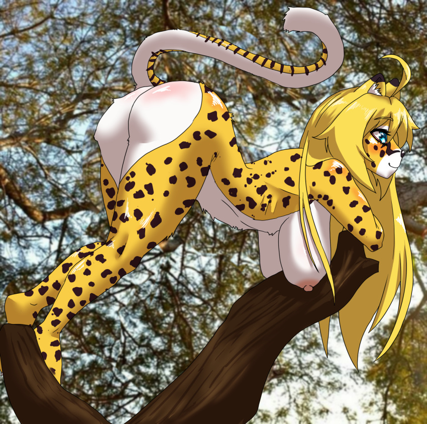 Orchid Oropelt Rule 34 Image