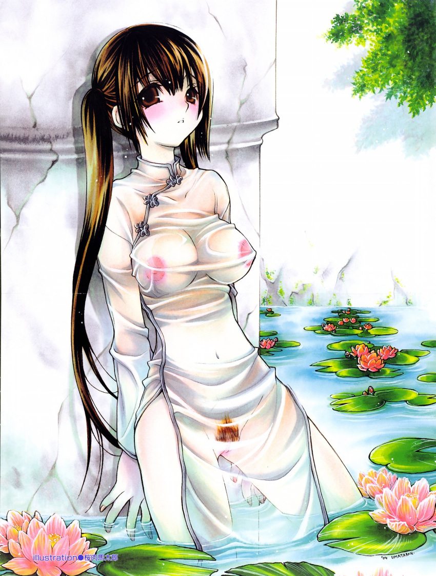 breasts brown_eyes brown_hair china_dress chinadress chinese_clothes copyright_request flower highres long_hair no_bra no_panties pale_skin pubic_hair pussy sakuraniku_umatarou see-through tied_hair twintails very_long_hair water wet