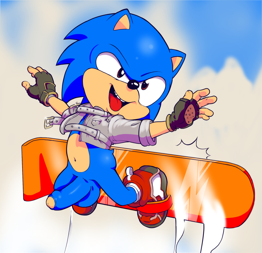 anthro armwear balls bottomless clothed clothing erection eulipotyphlan footwear genitals gloves hedgehog hi_res humanoid_genitalia humanoid_penis male male_only mammal mostly_nude neokat penis shoes snowboard socks solo sonic_(series) sonic_the_hedgehog sonic_the_hedgehog_(series) uncut