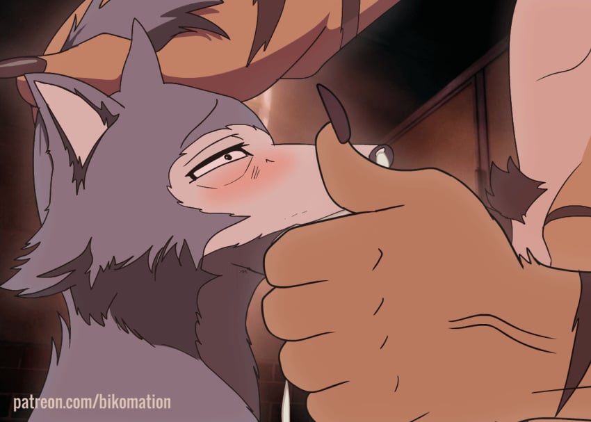 2d 2d_animation advertisement animated animated_gif beastars bikomation bill_(beastars) blush canine cum cum_in_mouth cumshot deep_throat deepthroat fellatio furry gay gay_domination gray_fur hand_on_head legoshi_(beastars) male_only mammal oral oral_sex orange_fur rude throat_bulge tiger wolf yaoi