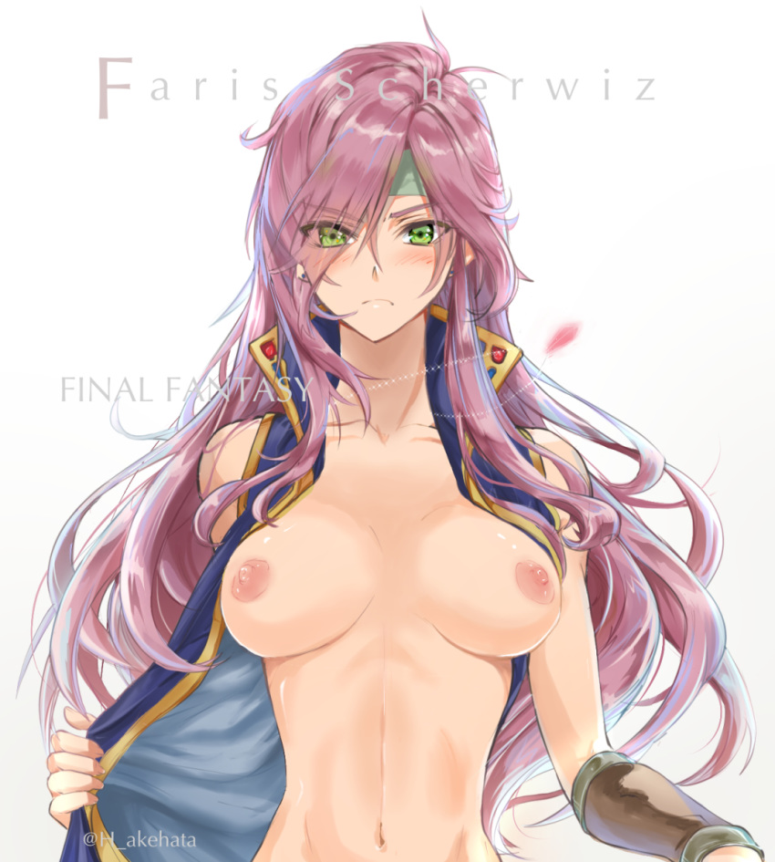 Faris Scherwiz (Final Fantasy) Rule 34 Image