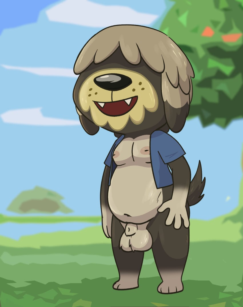 alternate_version_available animal_crossing animal_genitalia anthro balls bottomless canid canine canis casual_nudity clothed clothing crushpepper domestic_dog fur genitals grey_body grey_fur hair_over_eyes herding_dog hi_res ineffective_clothing male mammal nintendo nipples outside pastoral_dog sheepdog shep_(animal_crossing) solo topwear vest video_games